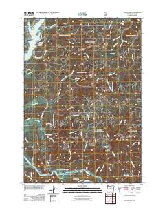 Devils Lake 2011 topographic map thumbnail