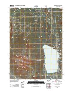 Diamond Lake 2011 topographic map thumbnail
