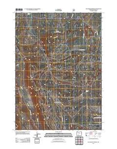 Buckhorn Springs 2011 topographic map thumbnail