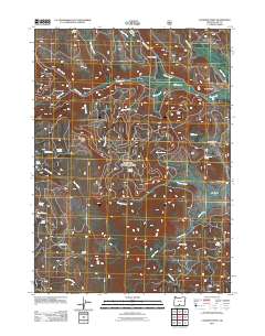 Coleman Point 2011 topographic map thumbnail