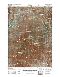 Dry Mountain 2011 topographic map thumbnail