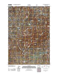 Dixie Meadows 2011 topographic map thumbnail