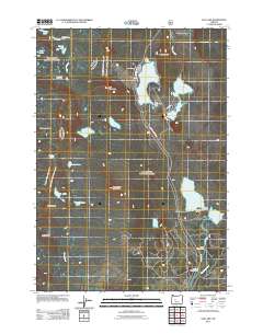 Elk Lake 2011 topographic map thumbnail
