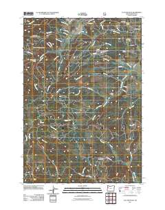 Flat Mountain 2011 topographic map preview