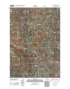 Keeney Point 2011 topographic map thumbnail