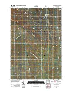 Hicks Spring 2011 topographic map thumbnail
