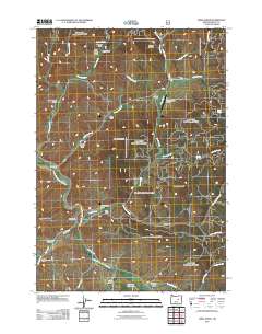 Lewis Creek 2011 topographic map thumbnail