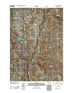 Landing Creek 2011 topographic map thumbnail