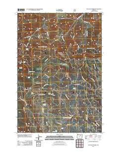Matlock Prairie 2011 topographic map thumbnail
