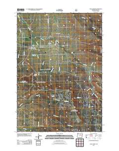 Long Creek 2011 topographic map thumbnail