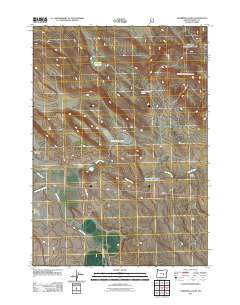 Oakerman Lakes 2011 topographic map thumbnail