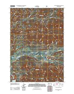 McKenzie Bridge 2011 topographic map thumbnail