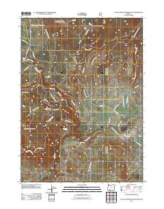 Little Chinquapin Mountain 2011 topographic map thumbnail