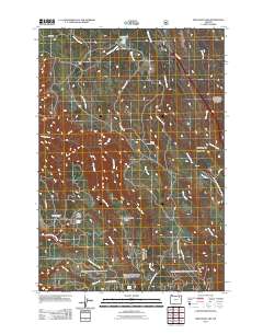 Meacham Lake 2011 topographic map thumbnail