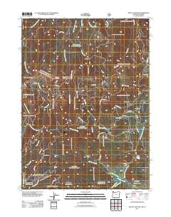 Mount Ashland 2011 topographic map thumbnail