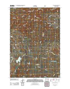 Olive Lake 2011 topographic map thumbnail
