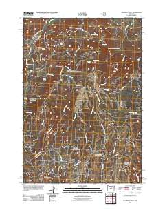 Peterson Point 2011 topographic map thumbnail