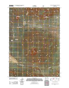 Pumice Desert East 2011 topographic map thumbnail