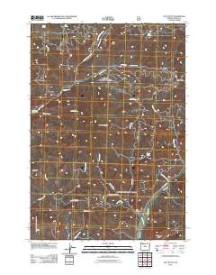 Salt Butte 2011 topographic map thumbnail