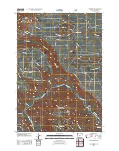 Shitike Butte 2011 topographic map thumbnail