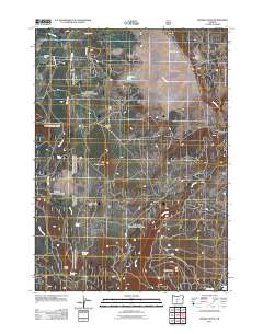 Rodman Rock 2011 topographic map thumbnail