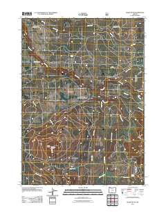 Shake Butte 2011 topographic map thumbnail
