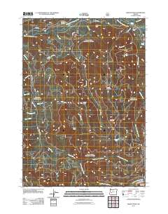 Rigdon Point 2011 topographic map thumbnail