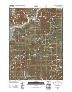 Signal Buttes 2011 topographic map thumbnail