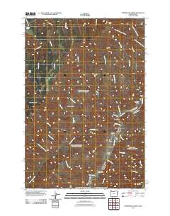 Temperance Creek 2011 topographic map thumbnail