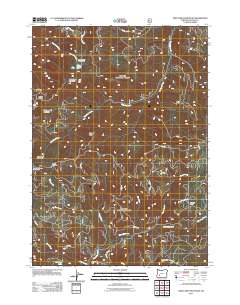 Twin Lakes Mountain 2011 topographic map thumbnail