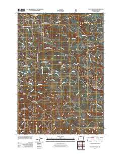 Stott Mountain 2011 topographic map thumbnail