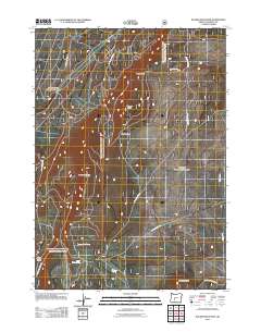 Walker Mountain 2011 topographic map thumbnail