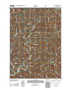Windy Peak 2011 topographic map thumbnail