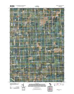 Brown City 2011 topographic map thumbnail