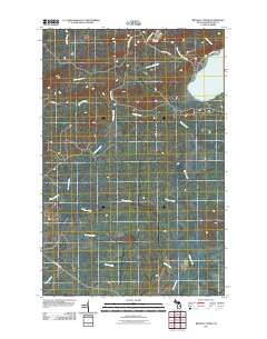 Bruneau Creek 2011 topographic map thumbnail