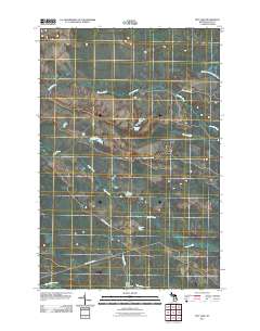 Roy Lake 2011 topographic map thumbnail