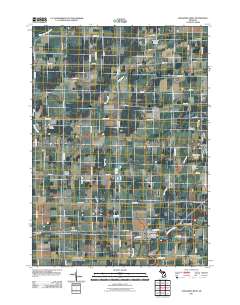 Chesaning West 2011 topographic map thumbnail