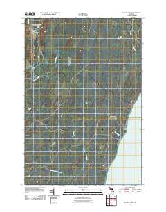Seagull Point 2011 topographic map thumbnail