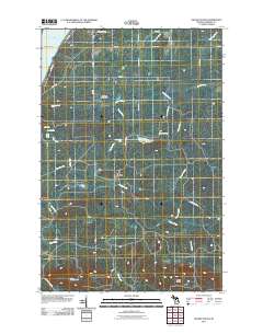 Skanee South 2011 topographic map thumbnail