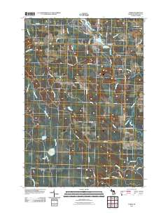 Tower 2011 topographic map thumbnail