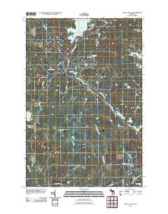 Witch Lake NE 2011 topographic map thumbnail