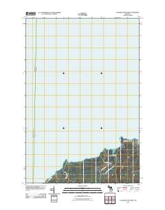 Laughing Fish Point 2011 topographic map thumbnail