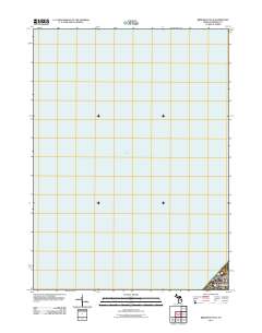 Bridgman OE W 2011 topographic map thumbnail