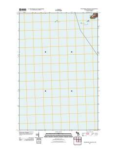 Feldtmann Lake OE W 2011 topographic map thumbnail