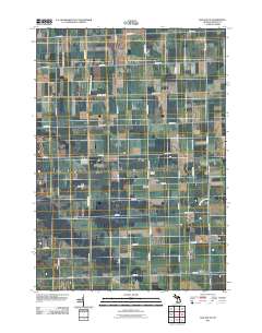 Bad Axe SE 2011 topographic map thumbnail