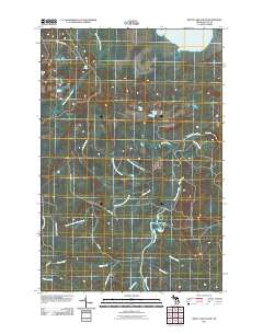 Betsy Lake South 2011 topographic map thumbnail