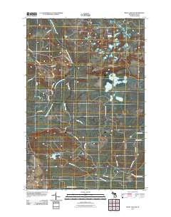 Betsy Lake SW 2011 topographic map thumbnail