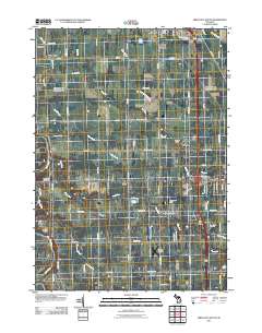 Birch Run South 2011 topographic map thumbnail