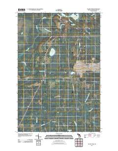 Blaney Park 2011 topographic map thumbnail