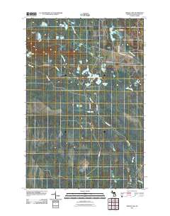 Driggs Lake 2011 topographic map thumbnail
